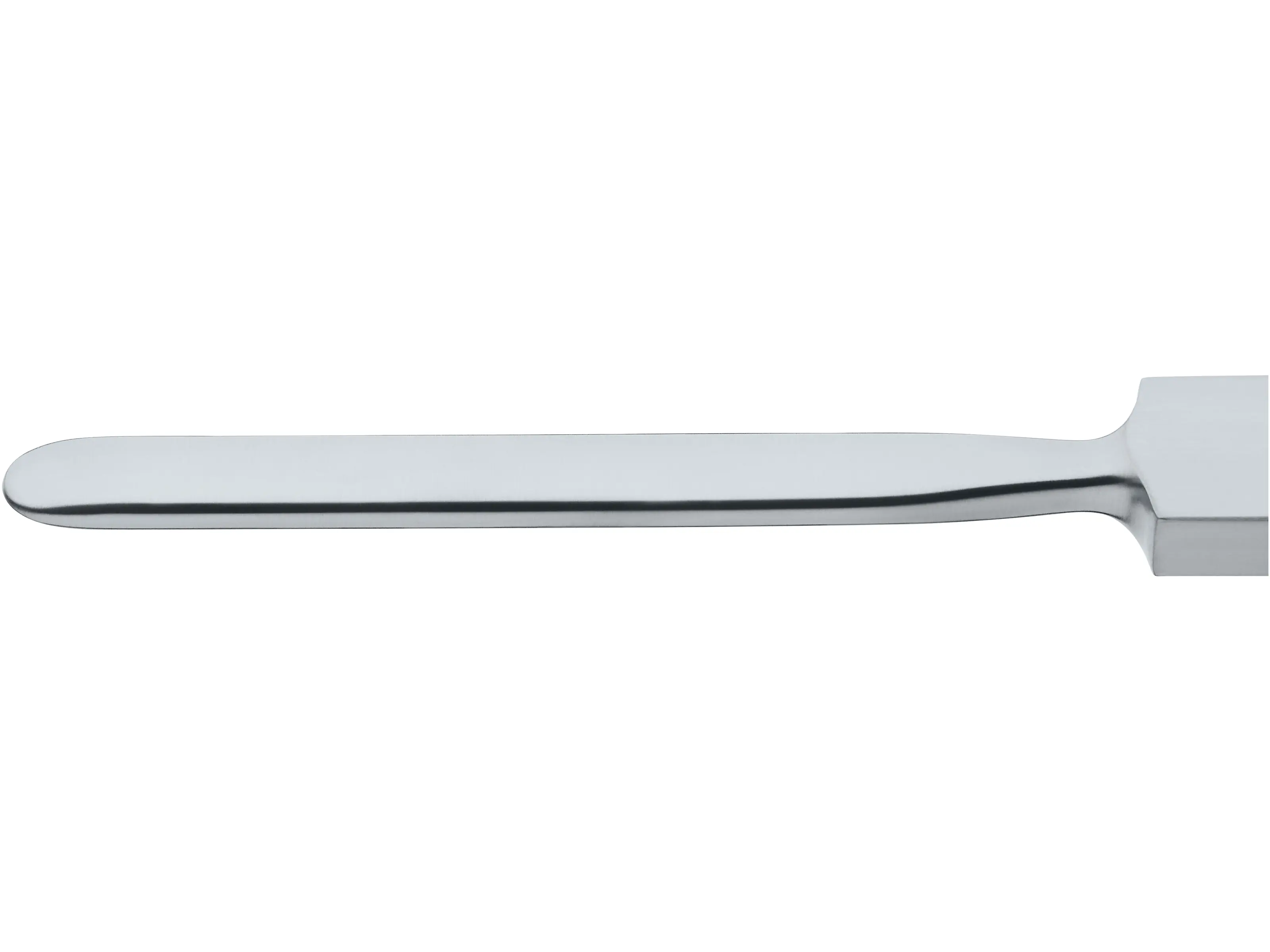 Elevator, 17 cm | KARL STORZ Endoskope | United States