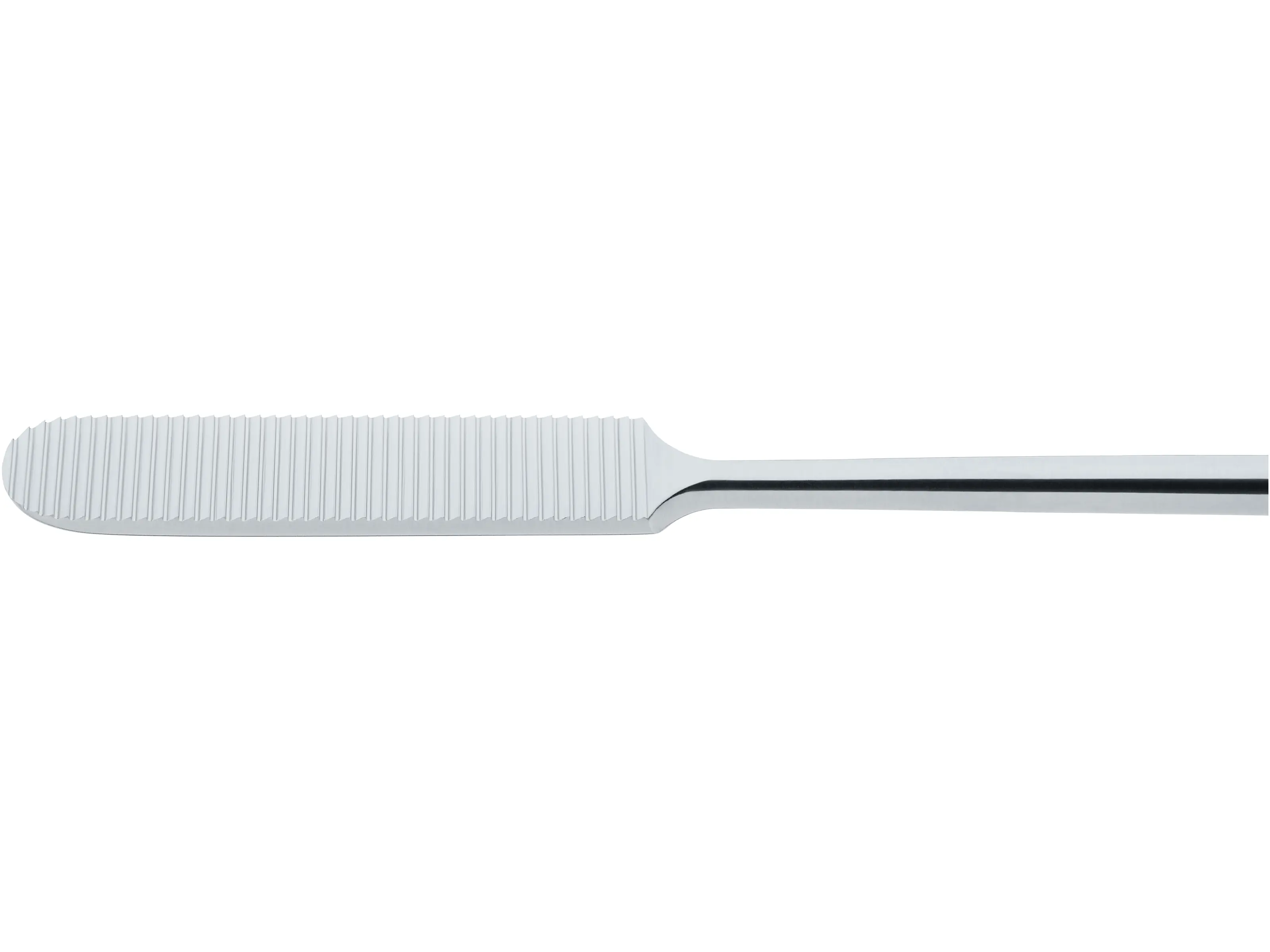 Nasal Rasp, without grooves | KARL STORZ Endoskope | United States