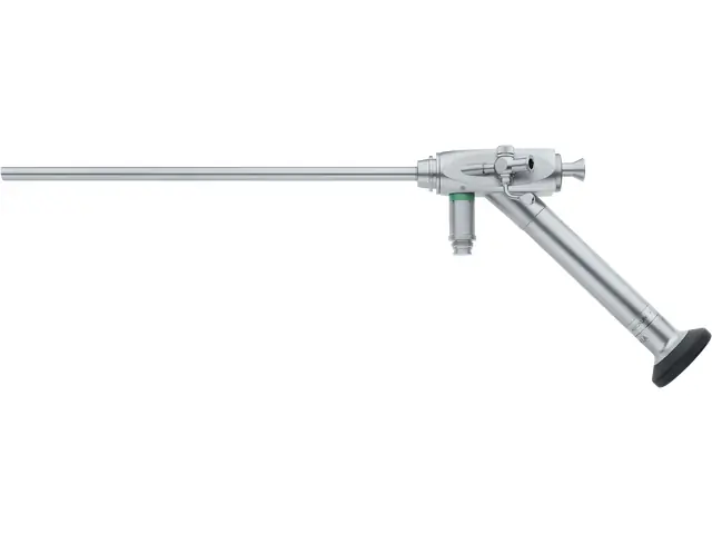 エスター コロッタ① 217557