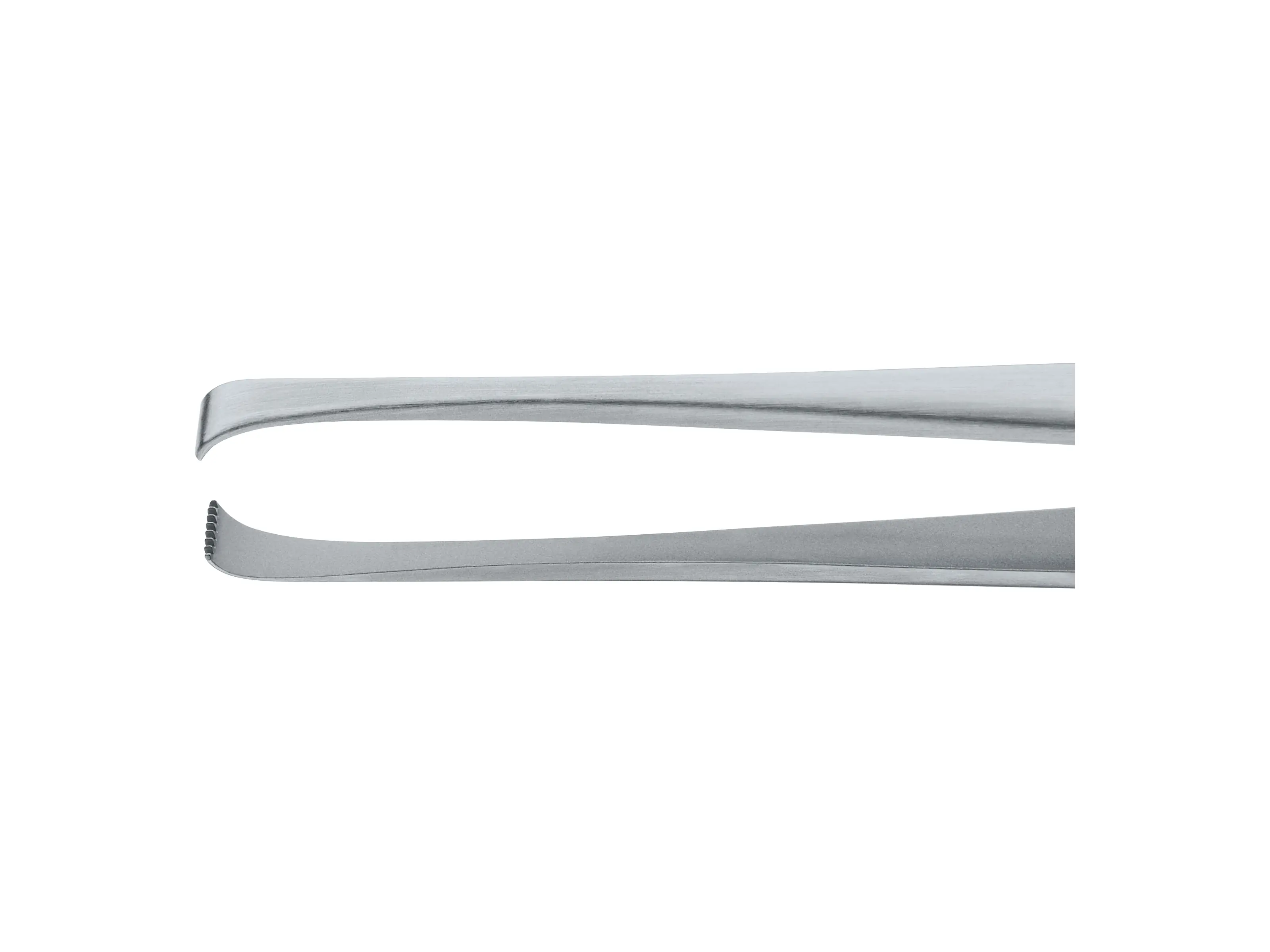 Tissue Forceps, 7 x 8 teeth, 13 cm | KARL STORZ Endoskope | United