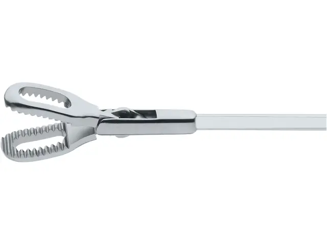 Forceps, for peanuts, 2.5 mm, 55 cm | KARL STORZ Endoskope