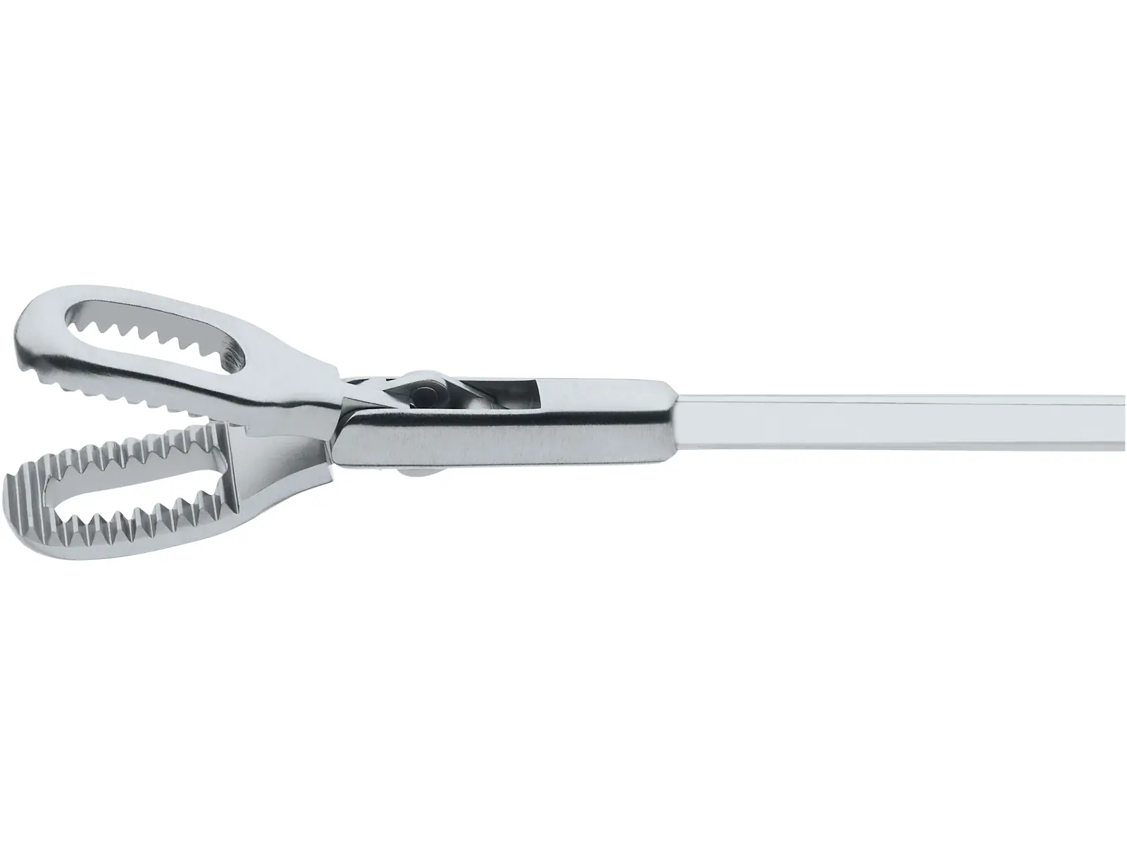 cockroacheee'z Barbee stoop関連 Forceps, for peanuts, 2.5 mm, 55 cm | KARL STORZ Endoskope