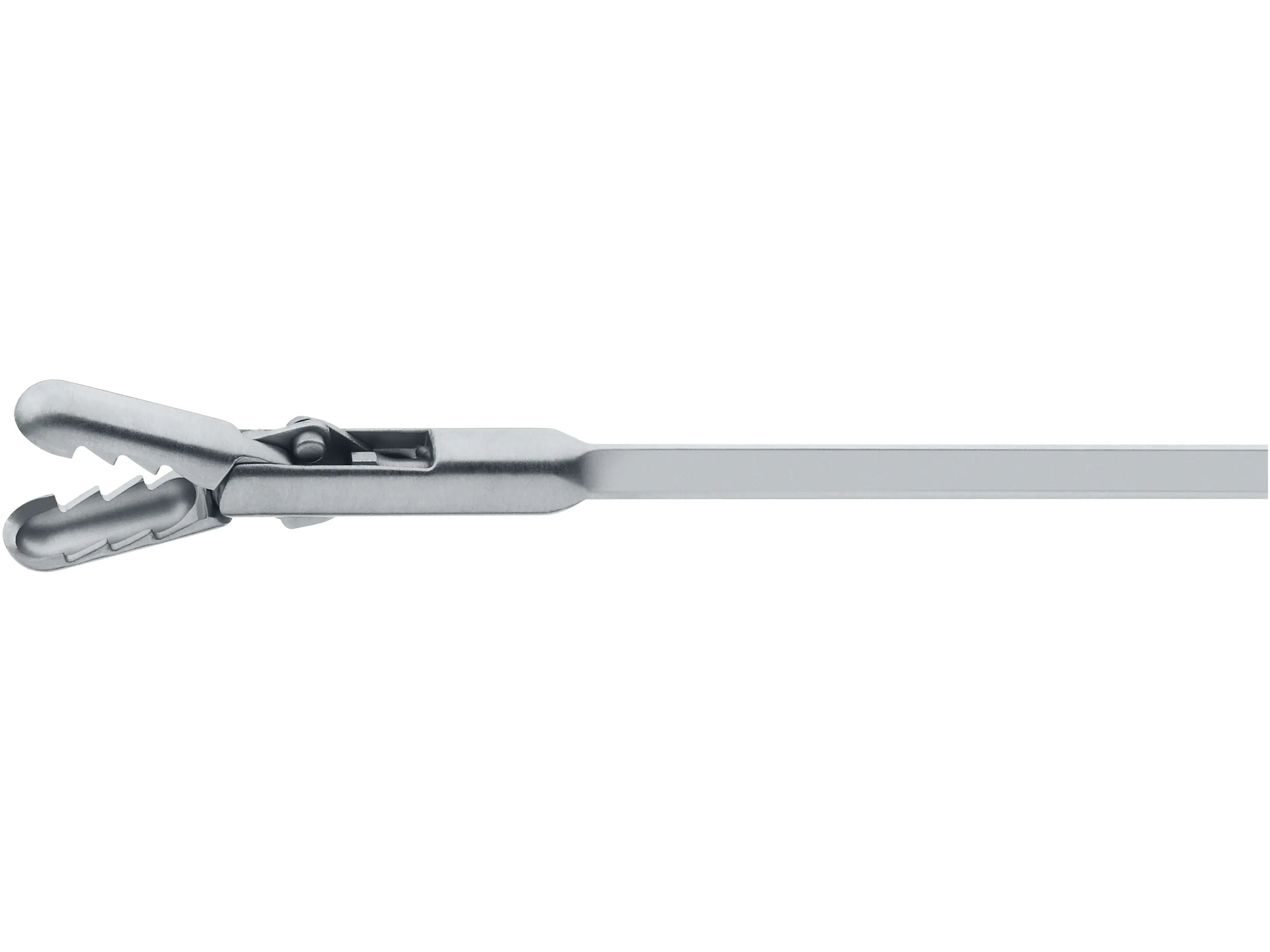 Forceps, universal, 2.5 mm, 55 cm | KARL STORZ Endoskope | United