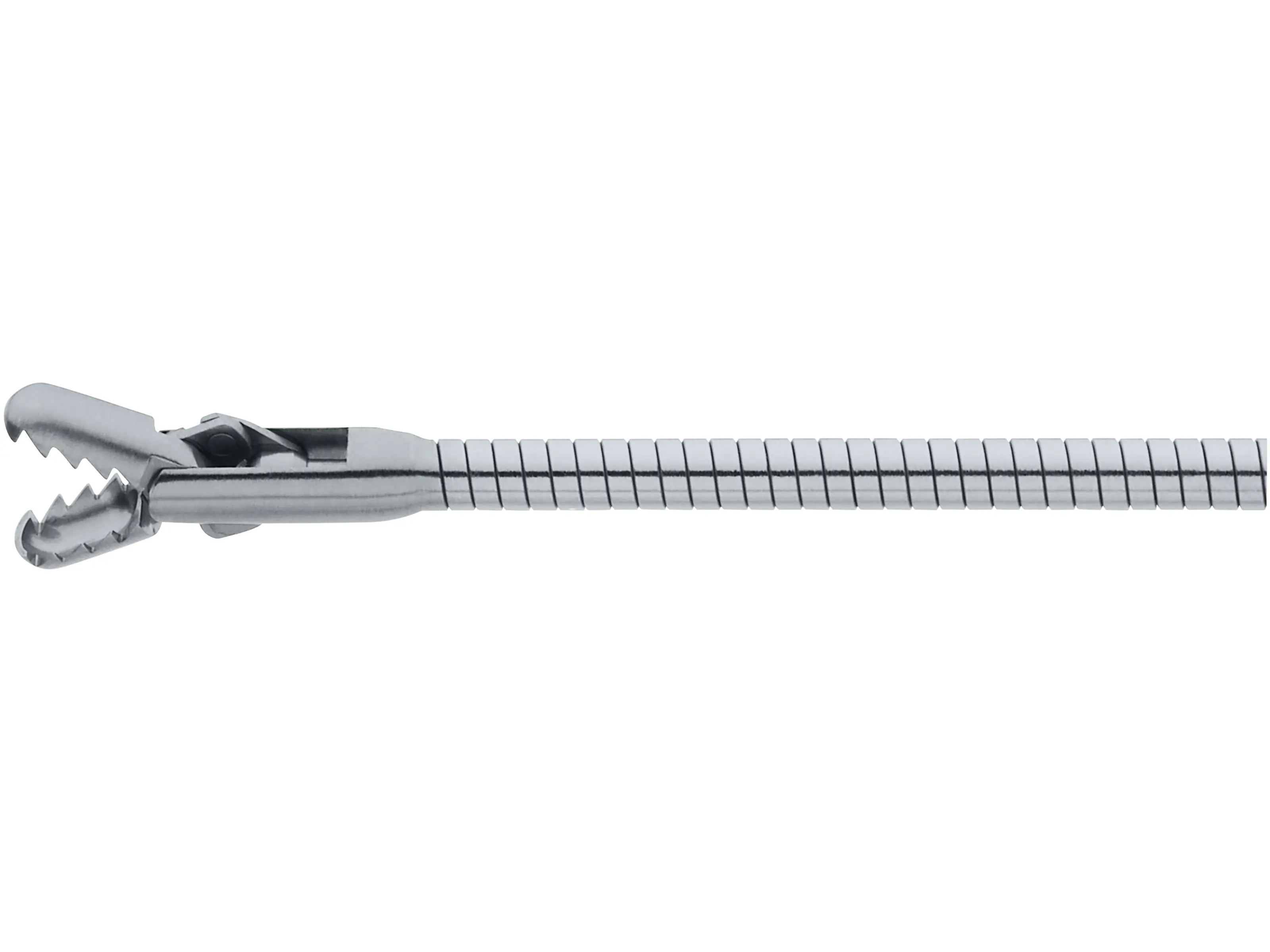 Foreign Body Forceps, 9 Fr. | KARL STORZ Endoskope | United States