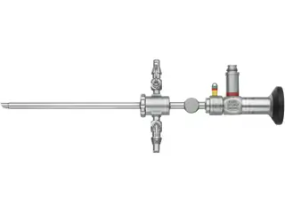 標本 Ethioia Compsocephalus k.werneri 35mm Pandemonium – Kobold Expedition Tools