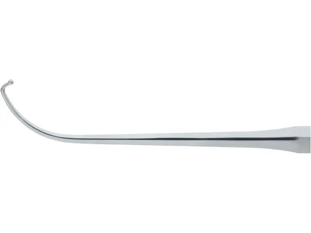 Frontal Sinus Seeker, No. 6 | KARL STORZ Endoskope | United States