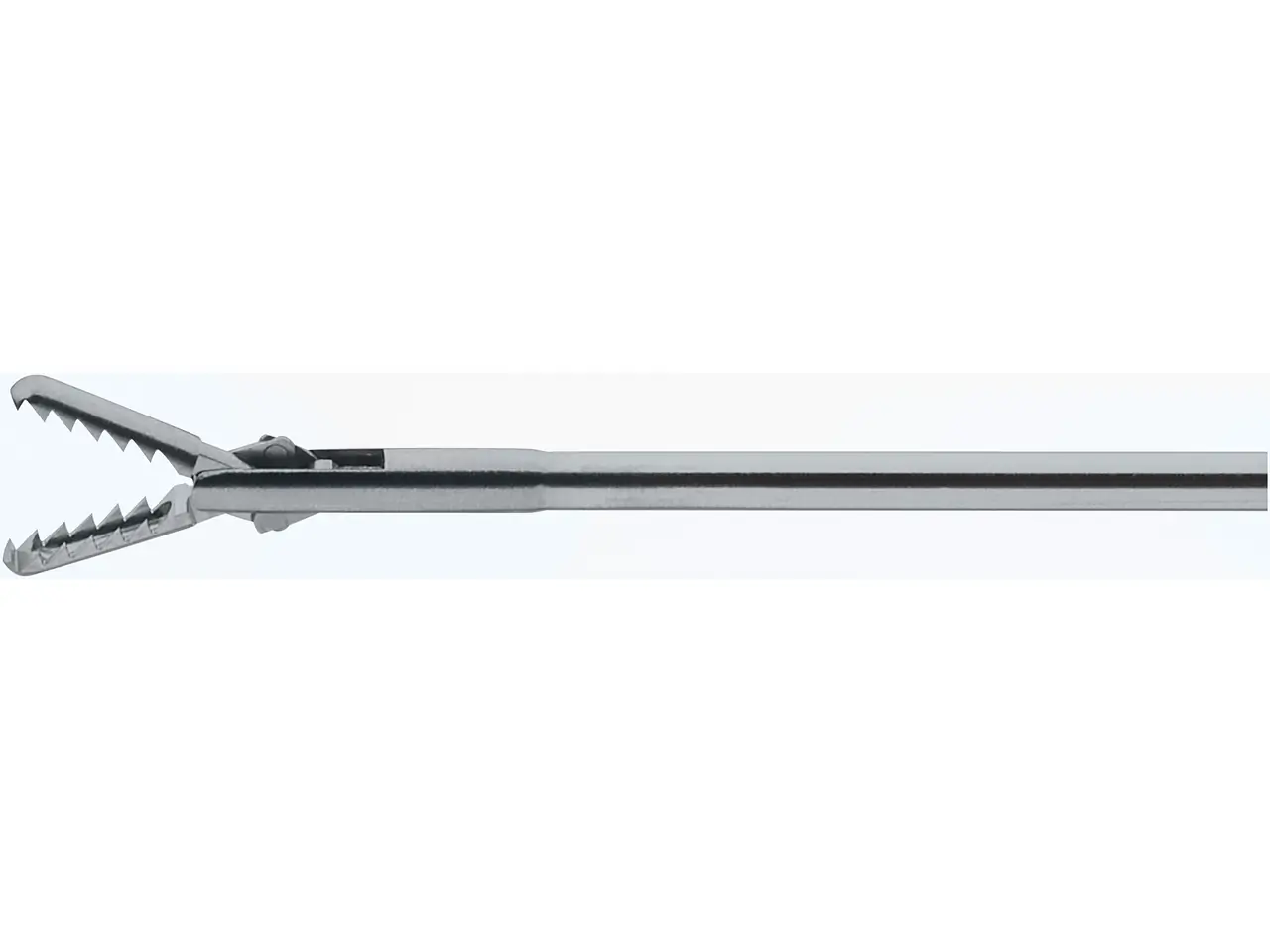 Forceps, 5 Fr., 30 cm | KARL STORZ Endoskope | United States