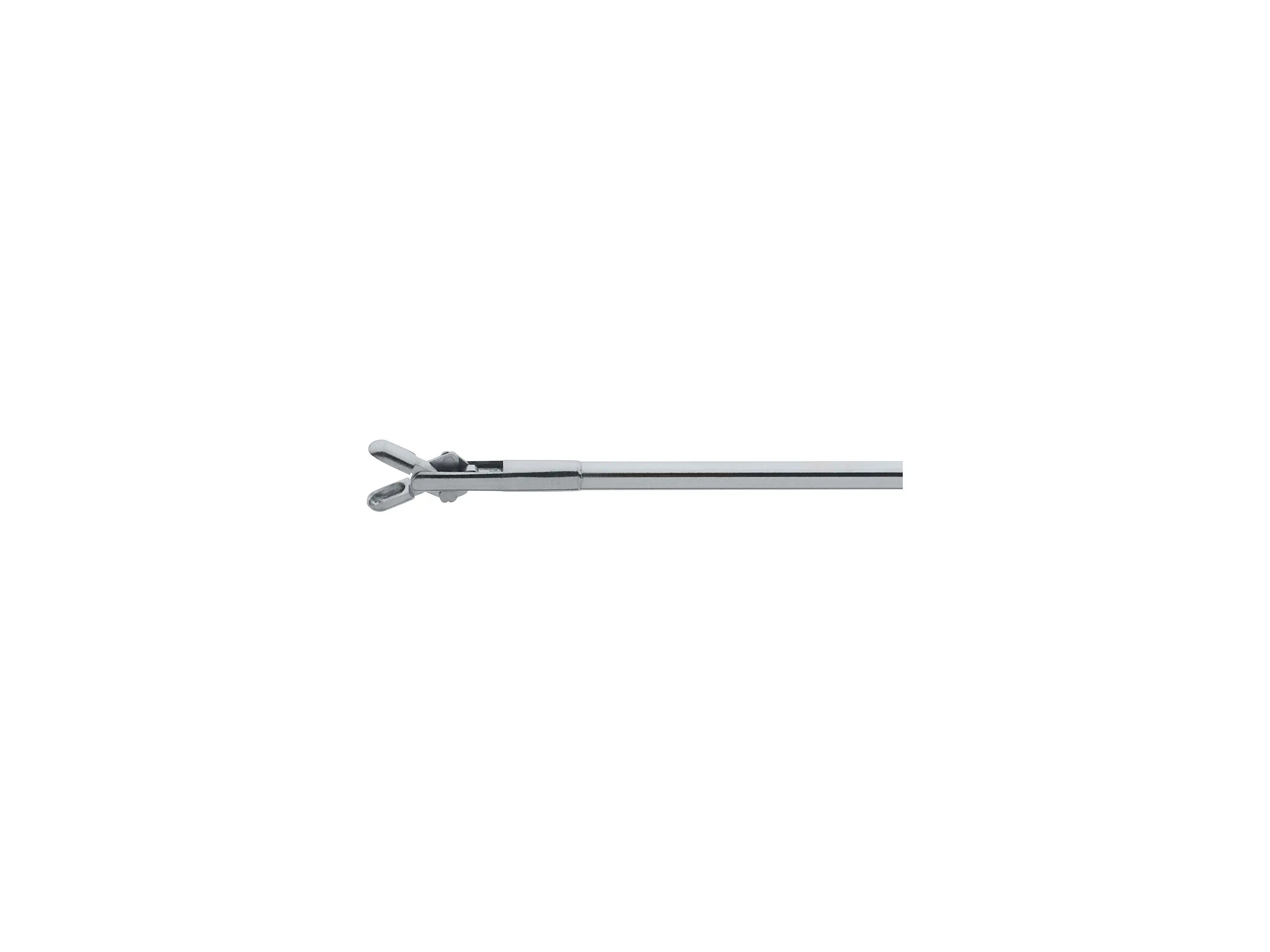 Biopsy Forceps, 5 Fr. | KARL STORZ Endoskope | United States