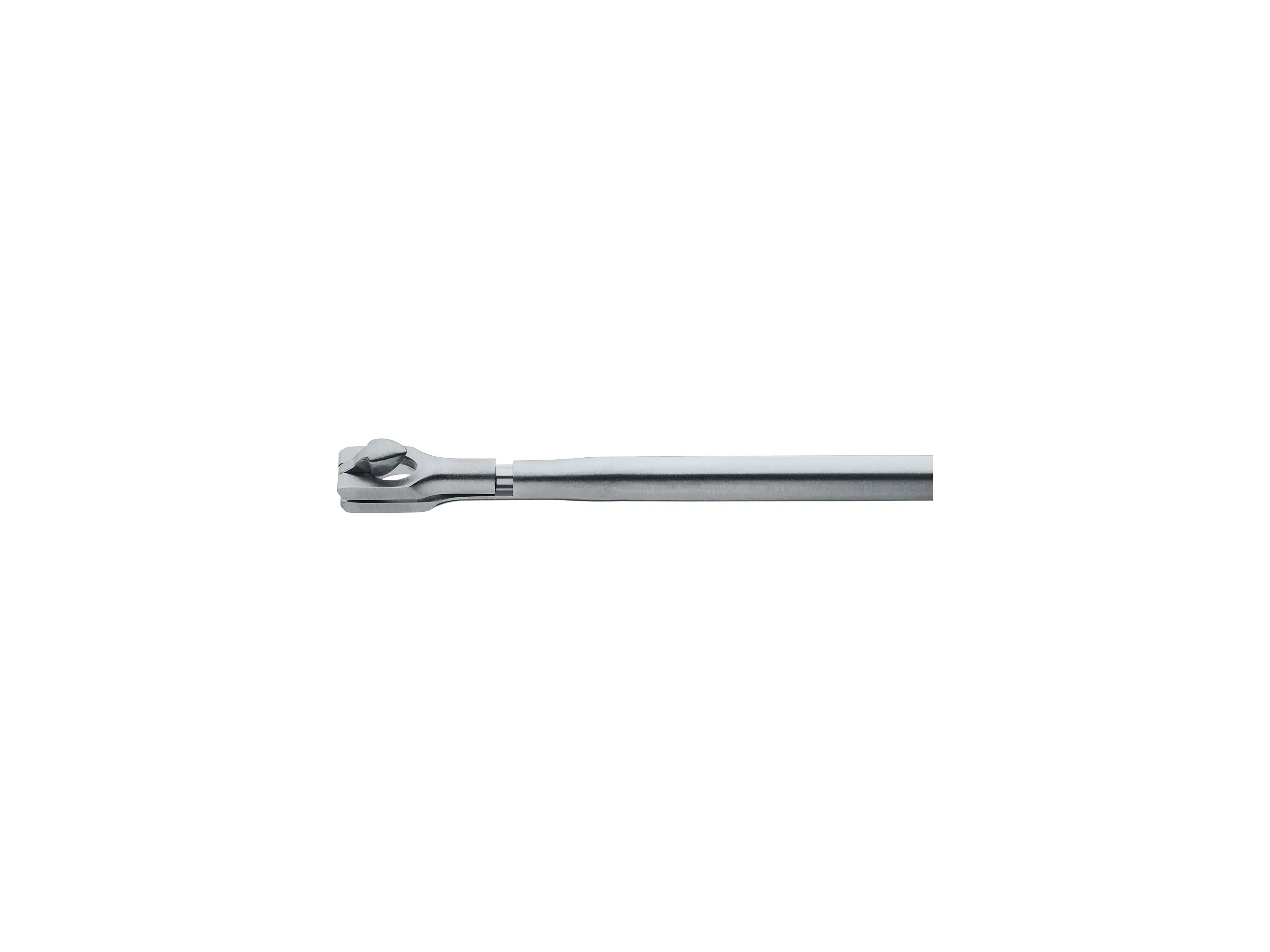 OSTRUM Punch, small, 9 cm | KARL STORZ Endoskope | United States
