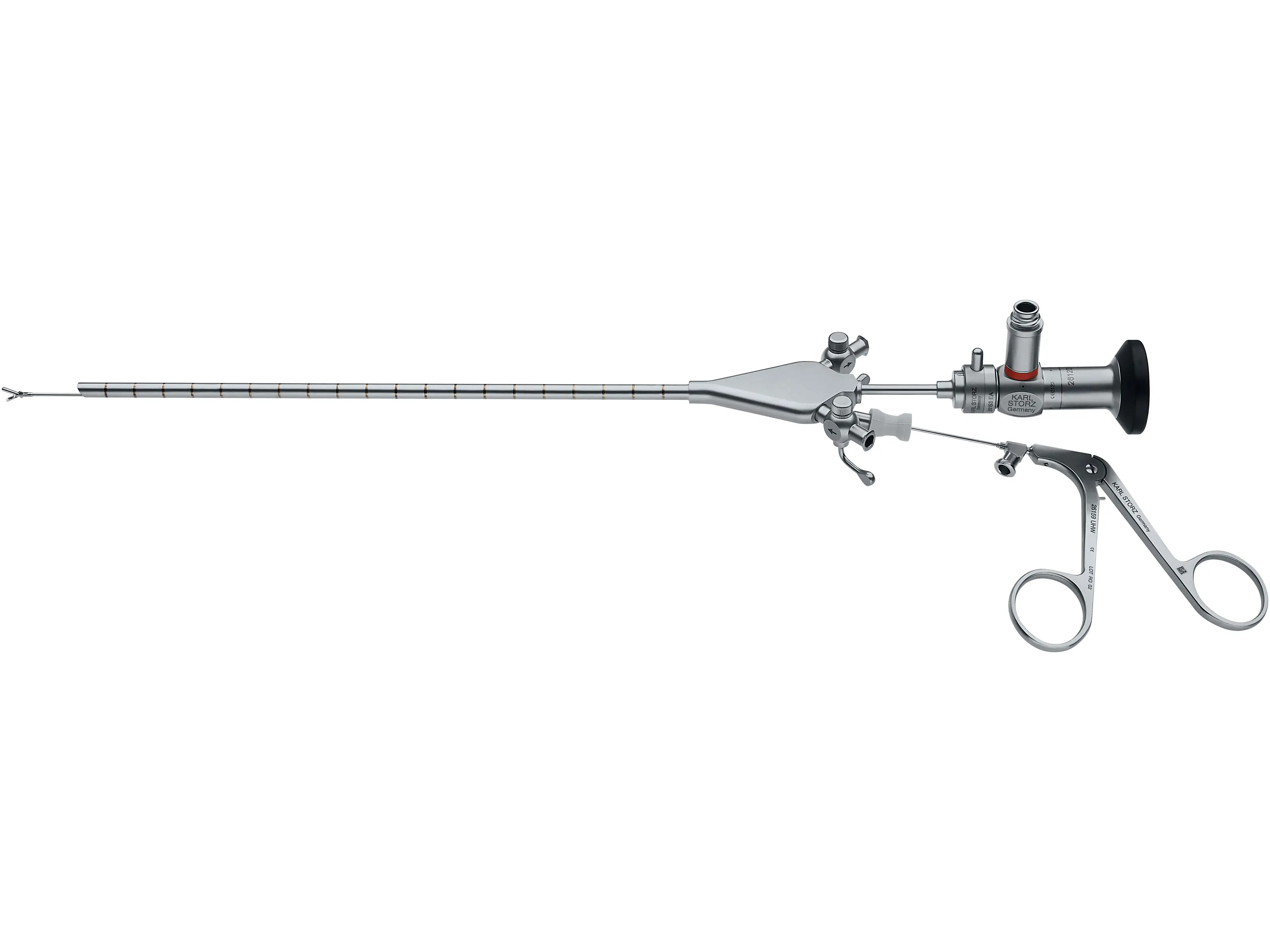 Biopsy and Grasping Forceps, 5 Fr. | KARL STORZ Endoskope | South