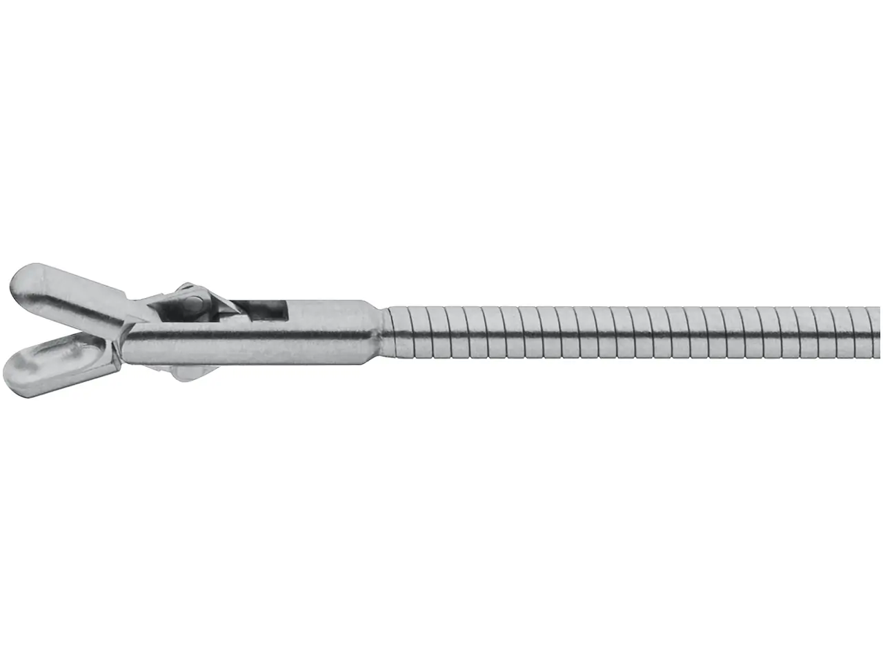 Biopsy Forceps, 7 Fr. | KARL STORZ Endoskope | South Africa