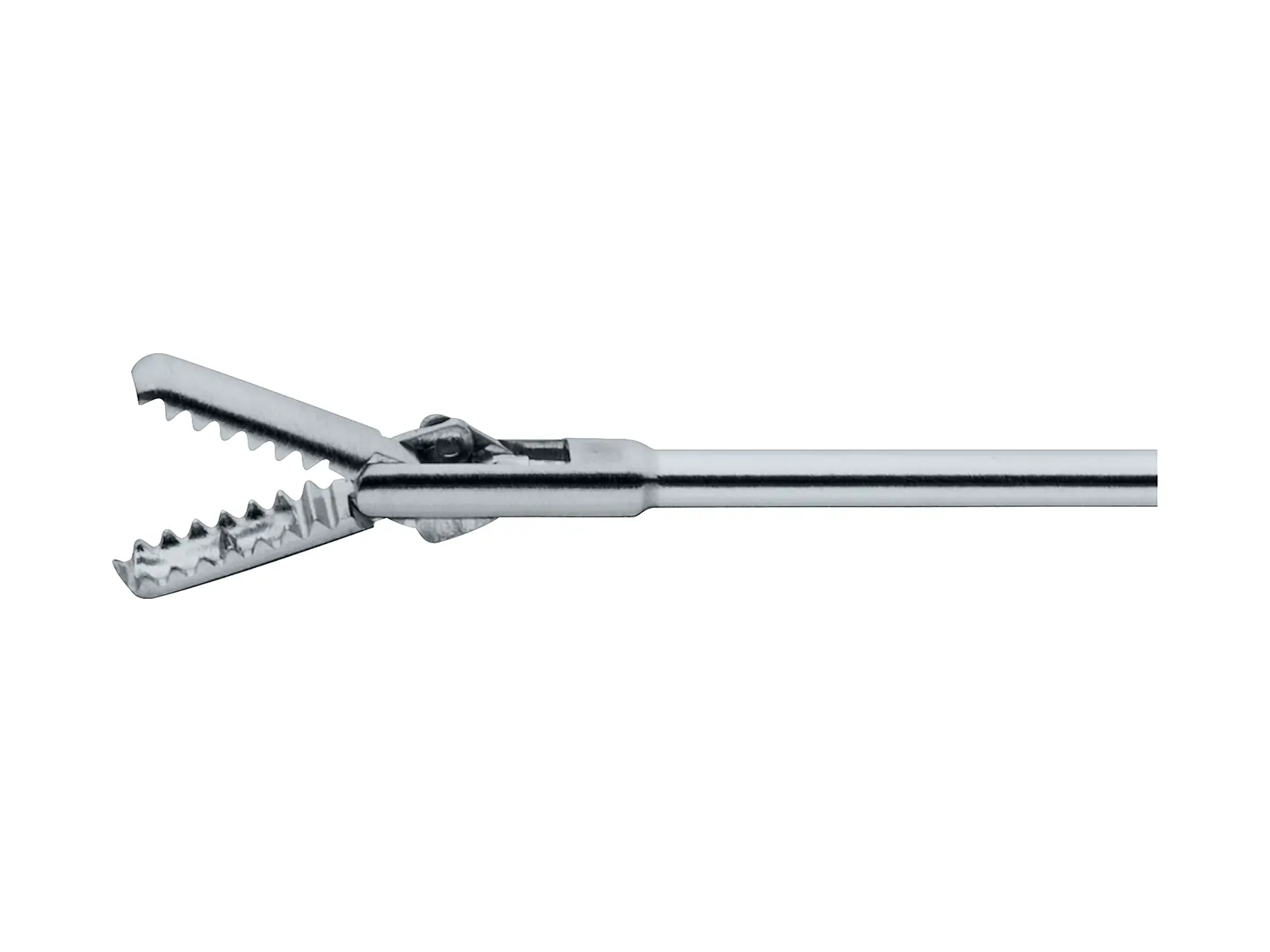 Biopsy and Grasping Forceps, 5 Fr. | KARL STORZ Endoskope | South