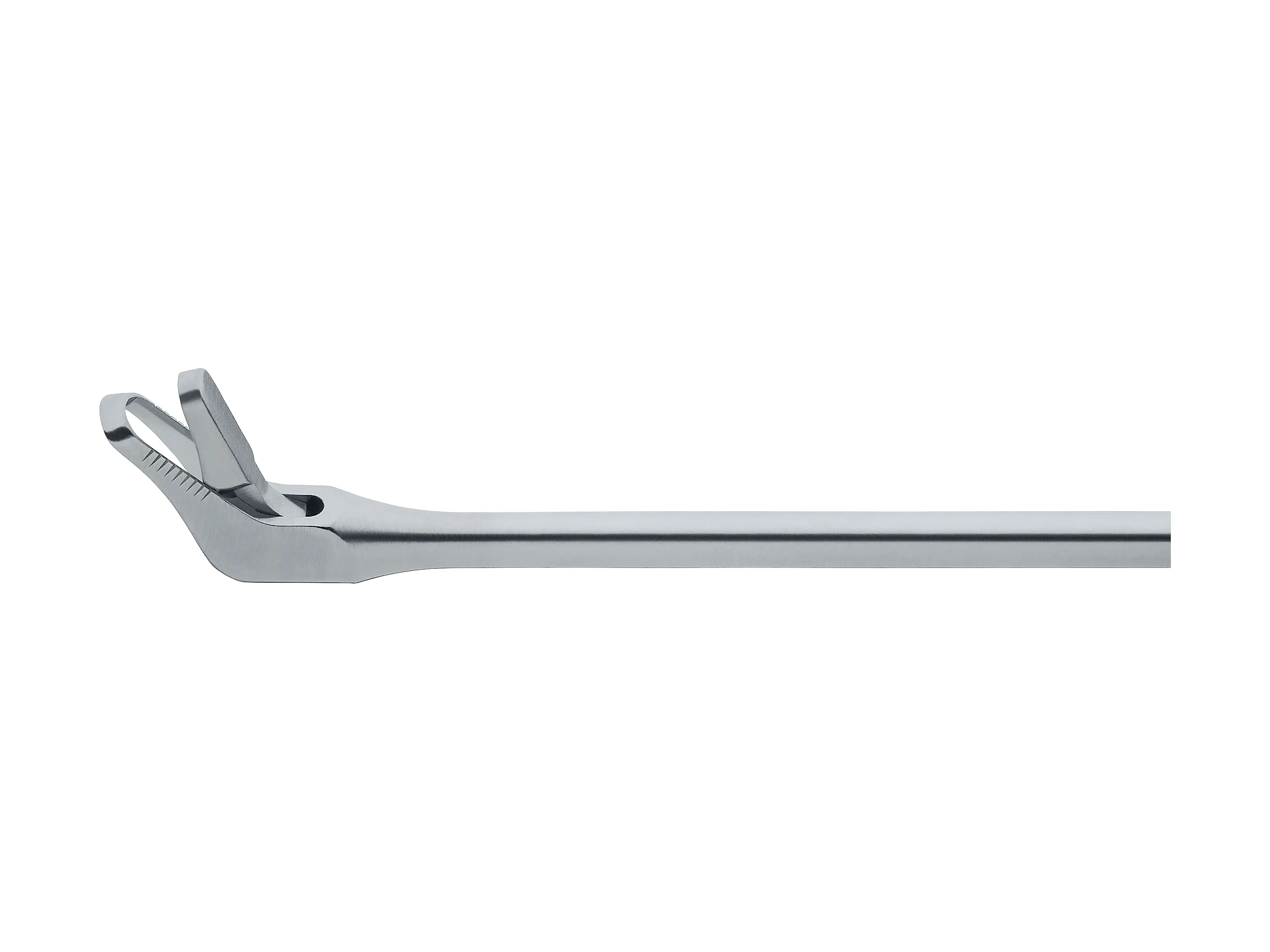 ＢＢＸラリッサT1.2 48-53 NZ RHINOFORCE II Nasal Cut. Forceps, size 1 | KARL STORZ Endoskope