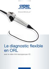 Le diagnostic flexible en ORL avec le vidéo-rhino-laryngoscope HD