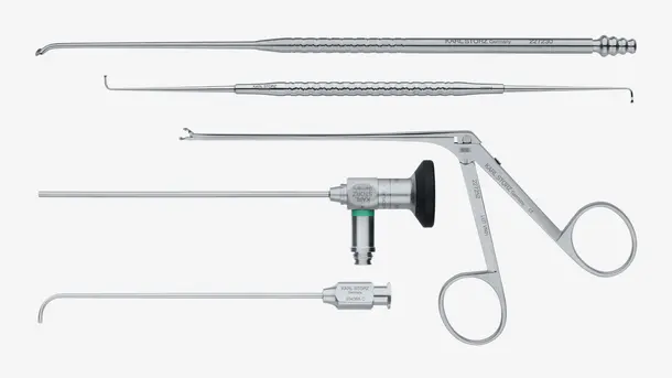 Main content: Set of stainless steel endoscopic sinus surgery instruments arranged in a row.