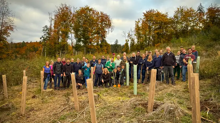 Group of people participating in a tree planting event with saplings and protective covers in a forest clearing.