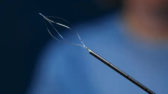 Close-up of a medical retrieval device with metal wire loops on the tip.