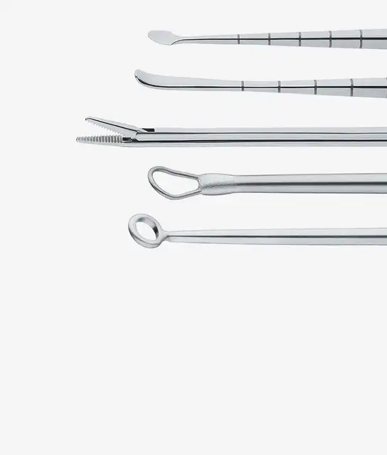 Set of stainless steel surgical instruments arranged horizontally.