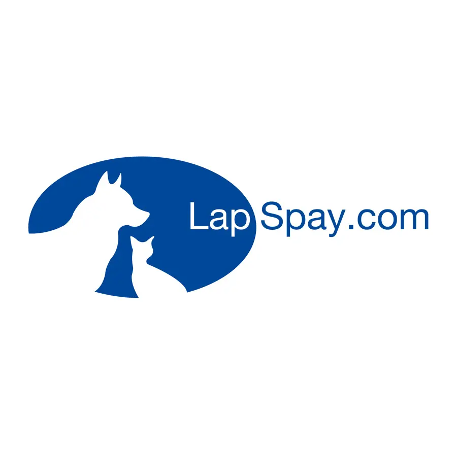 Logo LapSpay.com avec silhouettes de chien et chat sur fond bleu.