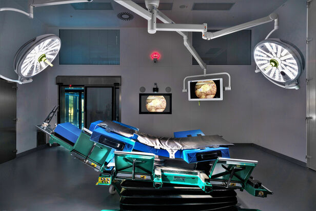 Operating room for horses